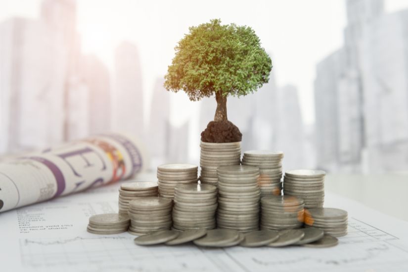 Not only learn more about investing, but also start investing for the long term to benefit from compounding and growth over time. Money and a tree.